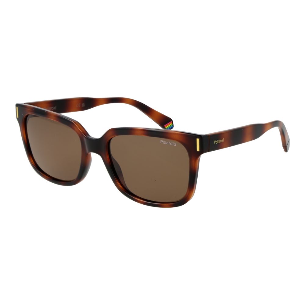 Polaroid Brown Polycarbonate Sunglasses
