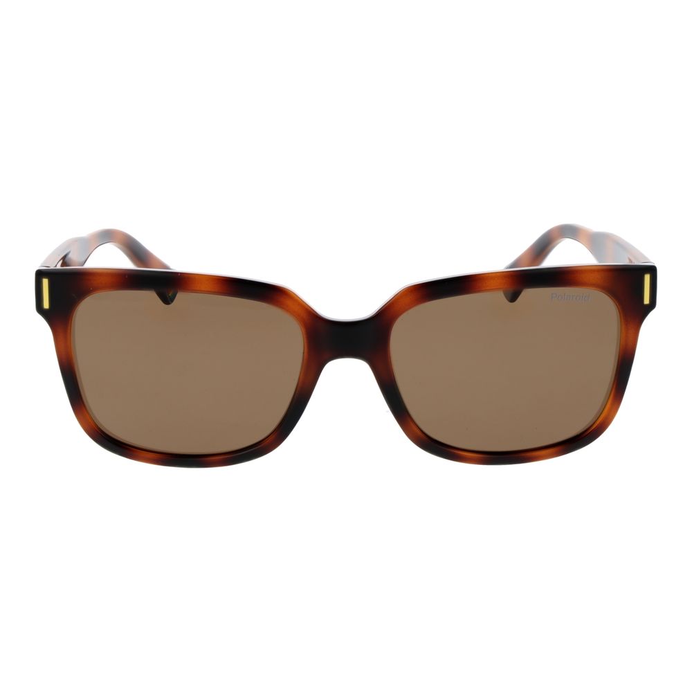 Polaroid Brown Polycarbonate Sunglasses