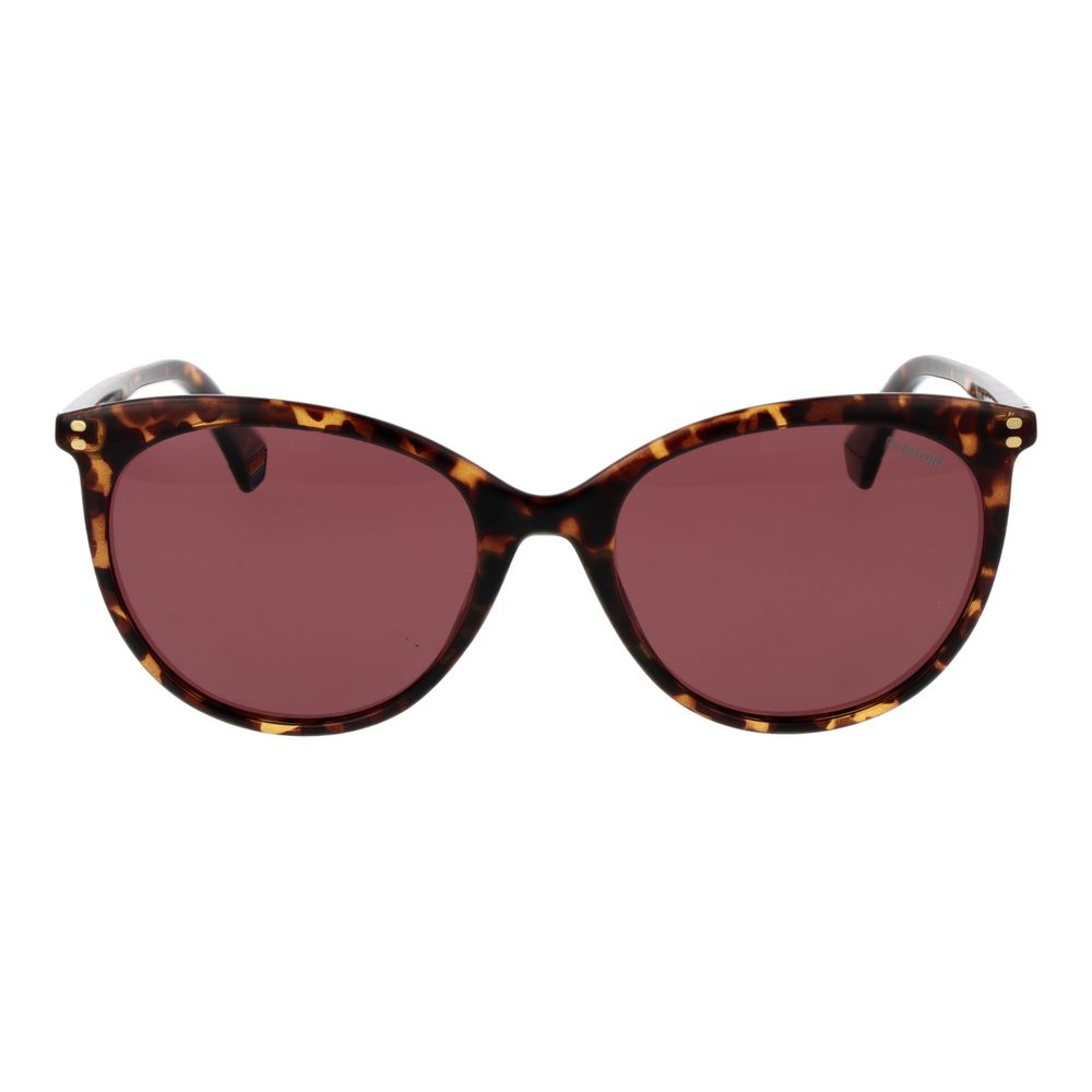 Polaroid Brown Polycarbonate Sunglasses