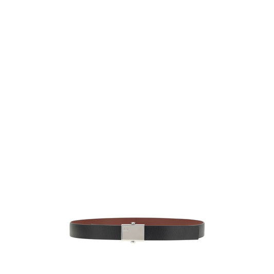 Reversible Belt